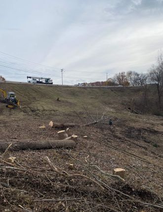 land clearing