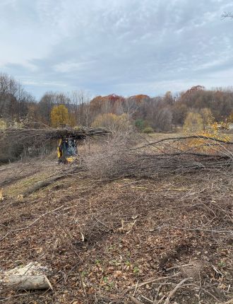 land clearing