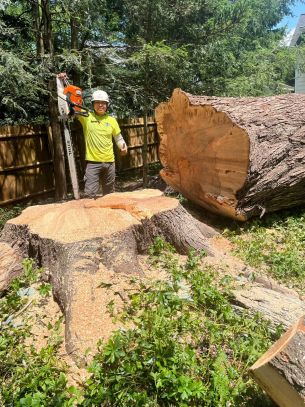 Stump Excavation