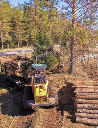 logging