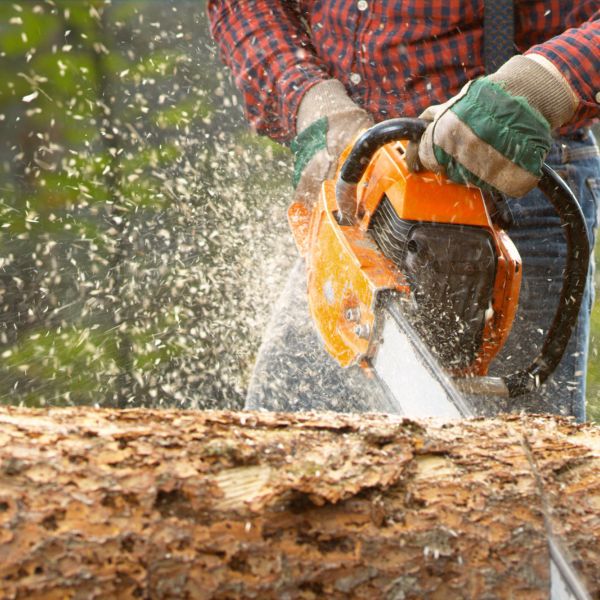 tree-removal