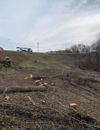 land clearing